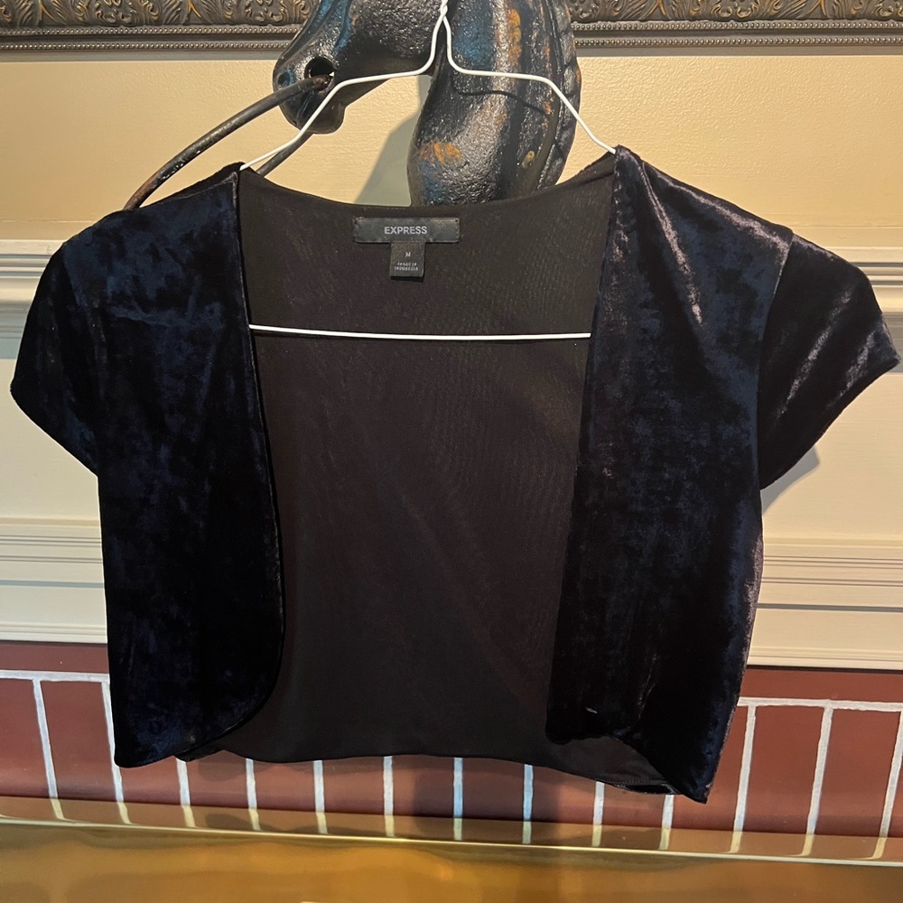 Express velvet-like black top. Classy. Size medium.